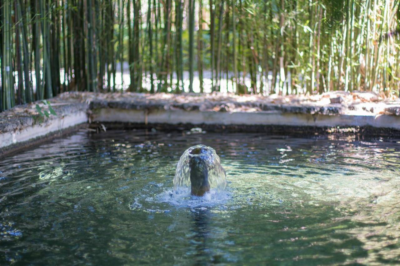 Las Aguas Del Arbuniel Con Pista De Padel Pension Buitenkant foto